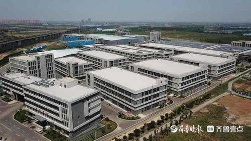 石家庄二环爆料案件最新,真相揭晓,疑云散去,正义终至 第3张 石家庄二环爆料案件最新,真相揭晓,疑云散去,正义终至 第3张